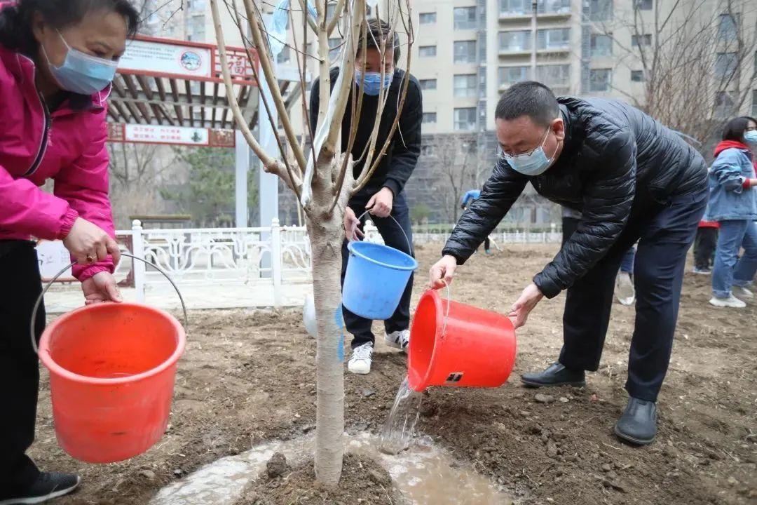 苹果园街道新任领导团队引领社区迈向新篇章